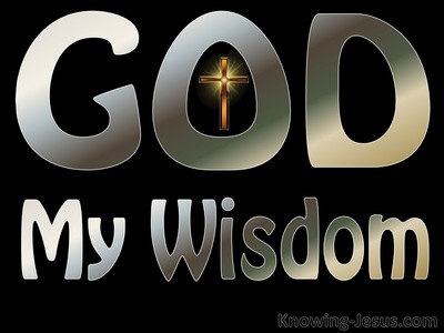 God, My Wisdom (Study In God - All I Need-26)